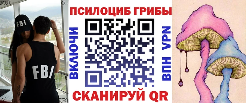 Купить где  Осинники  Псилоцибиновые грибы GOLDEN TEACHER 